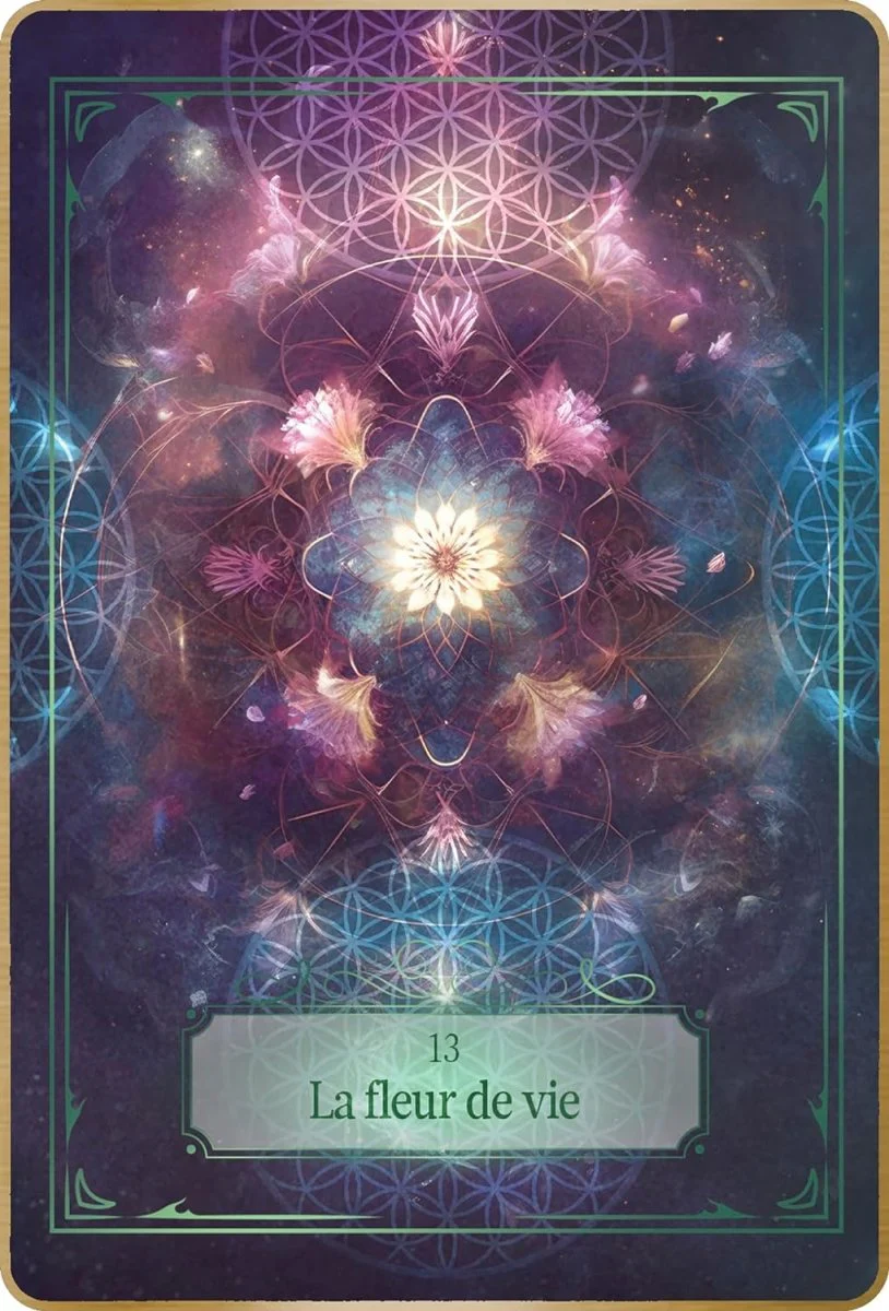Image du produit 11